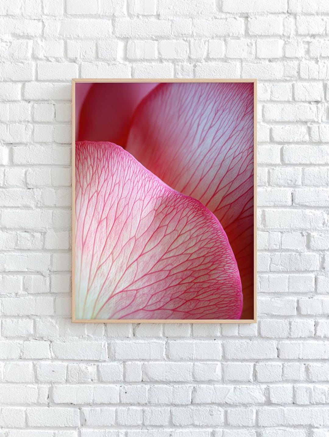 Floral Rose Art Print: Pink Macro Photography Home Decor (digital ...