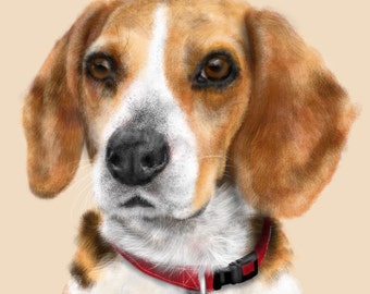 Custom Dog Portrait, custom portrait, dog portrait, pet portrait, dog lover, dog art, dog memorial, artwork, beagle mix, dog, art print, pet