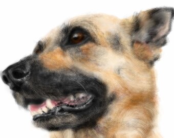 Custom Dog Portrait, custom portrait, pet portrait, dog lover, dog art, pet memorial, dog memorial, artwork, German shepherd, wall art