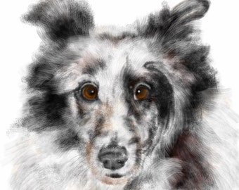 Custom Dog Pet Portrait, pet portrait, custom portrait, dog art, dog lover, pet memorial, sheltie, dog memorial, artwork, dog, art print