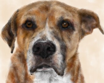 Custom Dog Pet Portrait, custom portrait, dog portrait, pet portrait, dog lover, dog art, gift, wall art, dog, artwork, pet memorial, pet