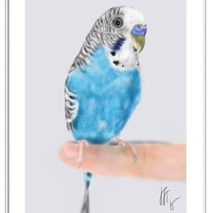 Custom Pet Portrait, pet portrait, custom portrait, bird art, bird lover, artwork, wall art, bird, pet memorial, parakeet, budgie image 3