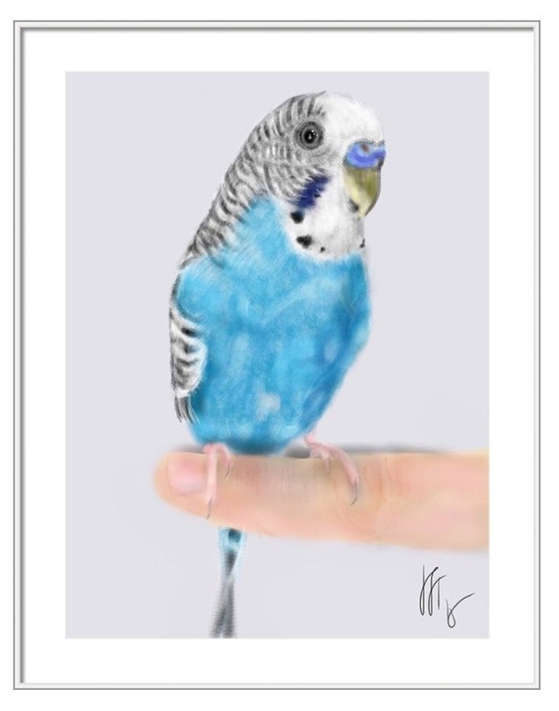 Custom Pet Portrait, pet portrait, custom portrait, bird art, bird lover, artwork, wall art, bird, pet memorial, parakeet, budgie image 3