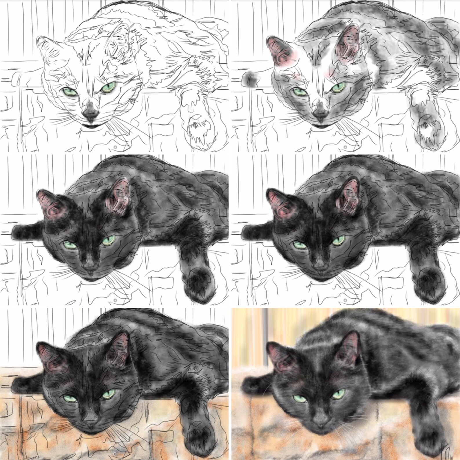 Custom Cat Portrait Custom Portrait Pet Portrait Cat Art Etsy