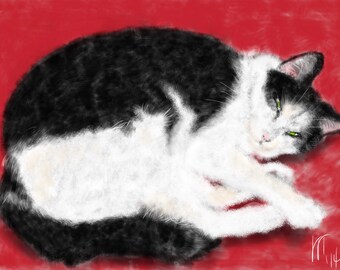 Custom Cat Portrait, custom portrait, pet portrait, cat art, cat lover, cat memorial, artwork, art print, wall art, pet memorial, pet, cat