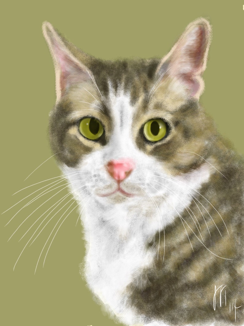 Custom Cat Portrait Custom Portrait Pet Portrait Cat Art Etsy