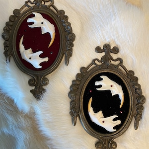 King and Queen Framed Muskrat Jaws