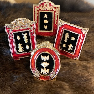 Framed Rodent Bones