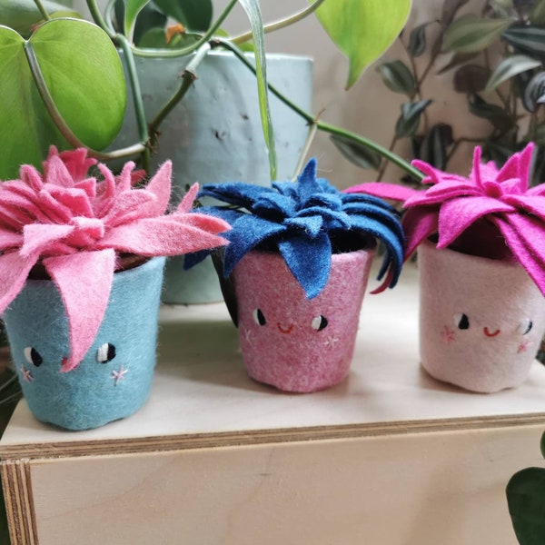 Three! Set of 3 felt succulents in pots with a face. Cheeky, smiley cacti, handmade textile succulent in a pot. Plants you can't kill!