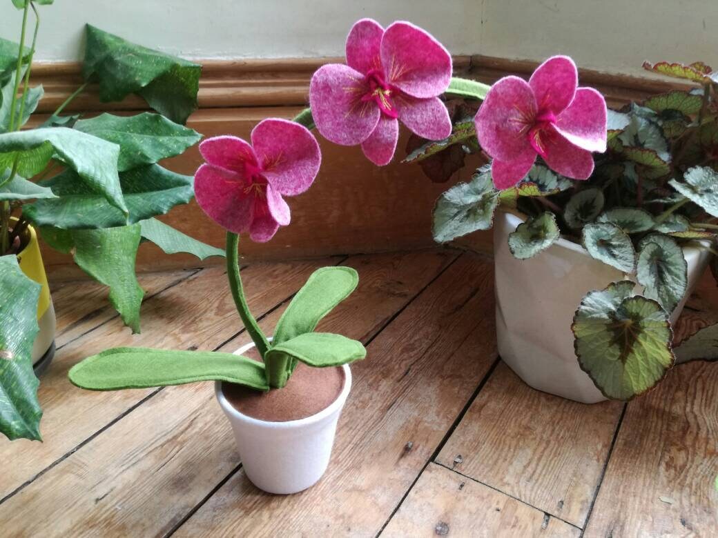 Marne Cerise, Rose, Orchidée, Orchidée Feutre, Plantes d'intérieur d'orchidées, Fausses Fleurs, en T