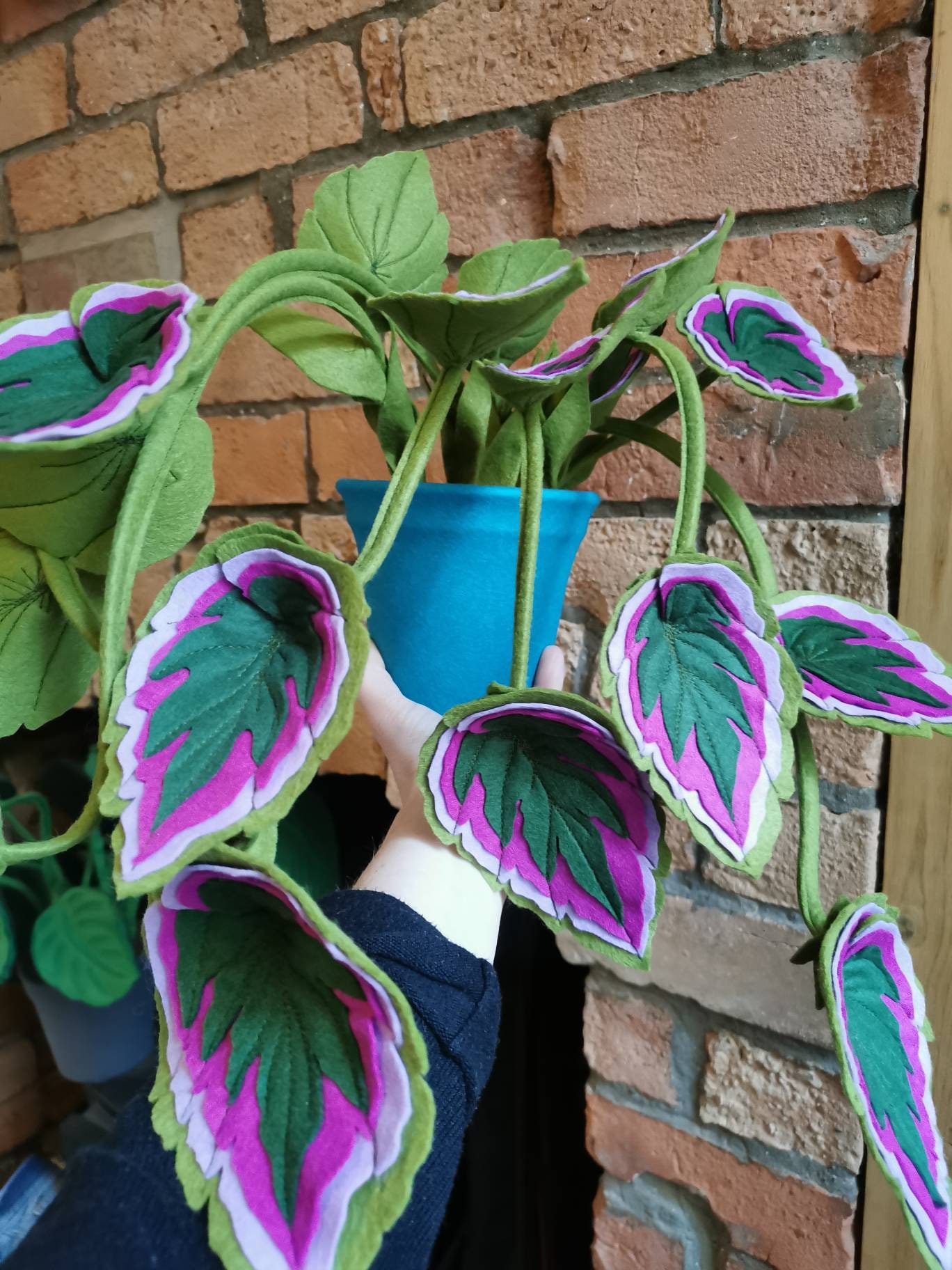 Bégonia en Feutre Lumineux - Botanique, Fait à La Main, Inspiré De