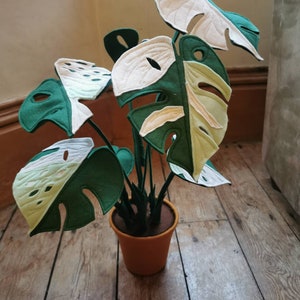 Varigated felt Monstera - Faux, handmade, felt Monstera potted plant, fabric house plant, textile plant, choose your own pot colour