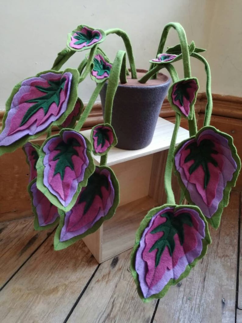 Begonia Botanical Handmade 'begonia' Inspired - Etsy