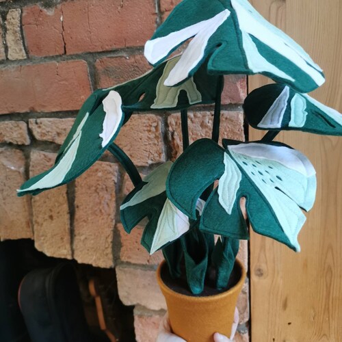 Felt Varigated Monstera. Faux Plant. Mini Varigated Monstera Etsy