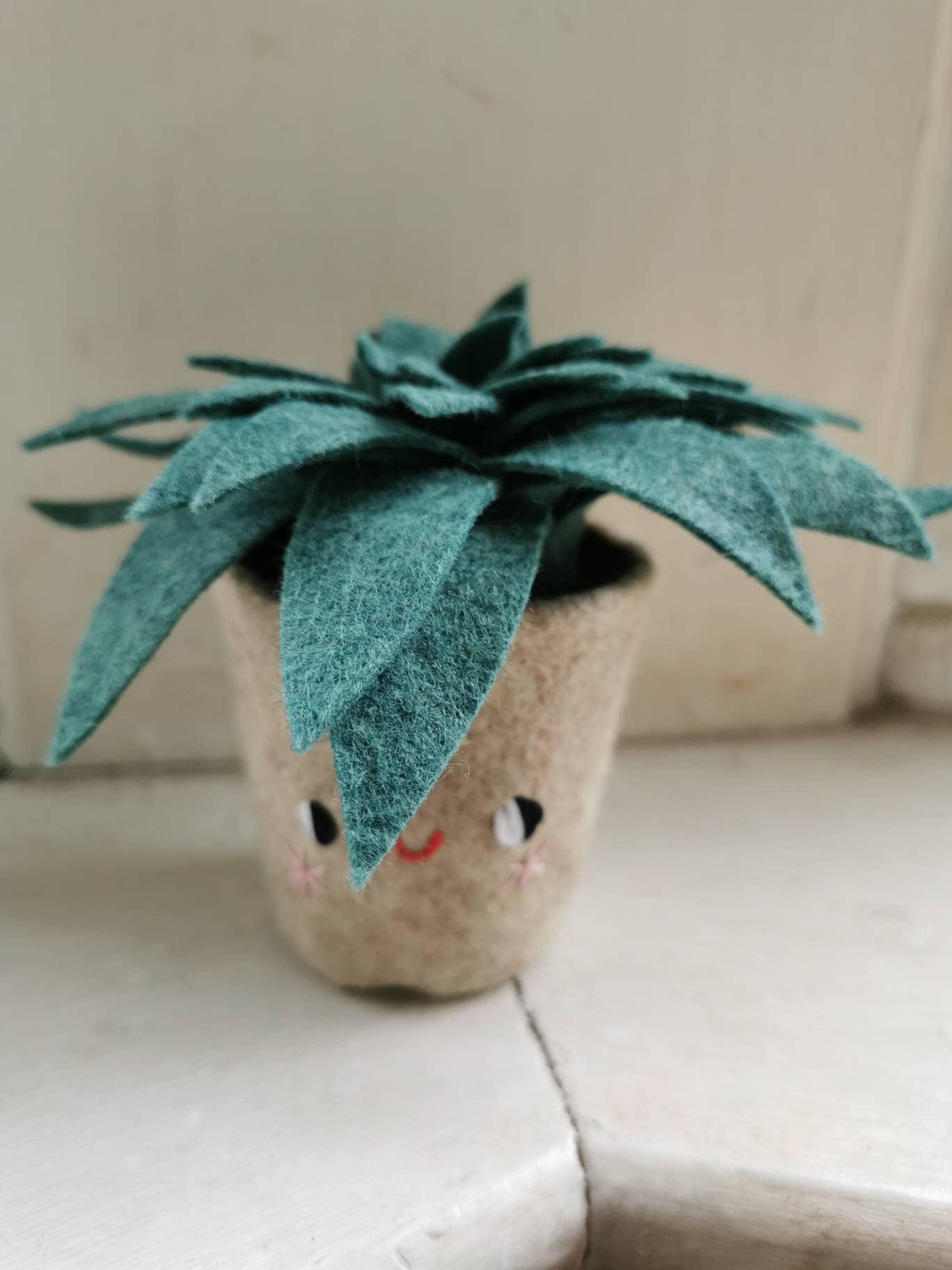 Feutre Vert Succulent, Pot avec Un Visage. Cactus Effrontés et Souriants, Succulent Textile Fait à L