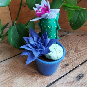 Mini faux cacti garden! Felt, textiles cacti and succulents in a felt covered pot. Handmade felt cactus. Plants you can't kill!