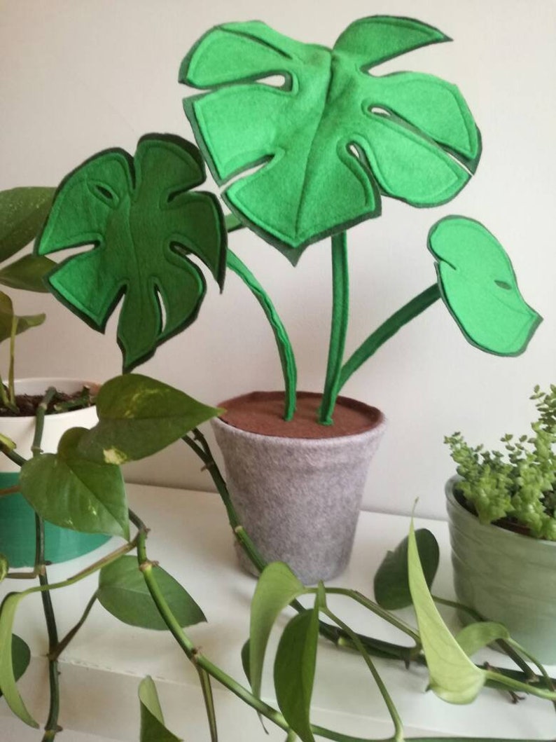 Mini felt Monstera houseplant felt houseplant fabric Etsy