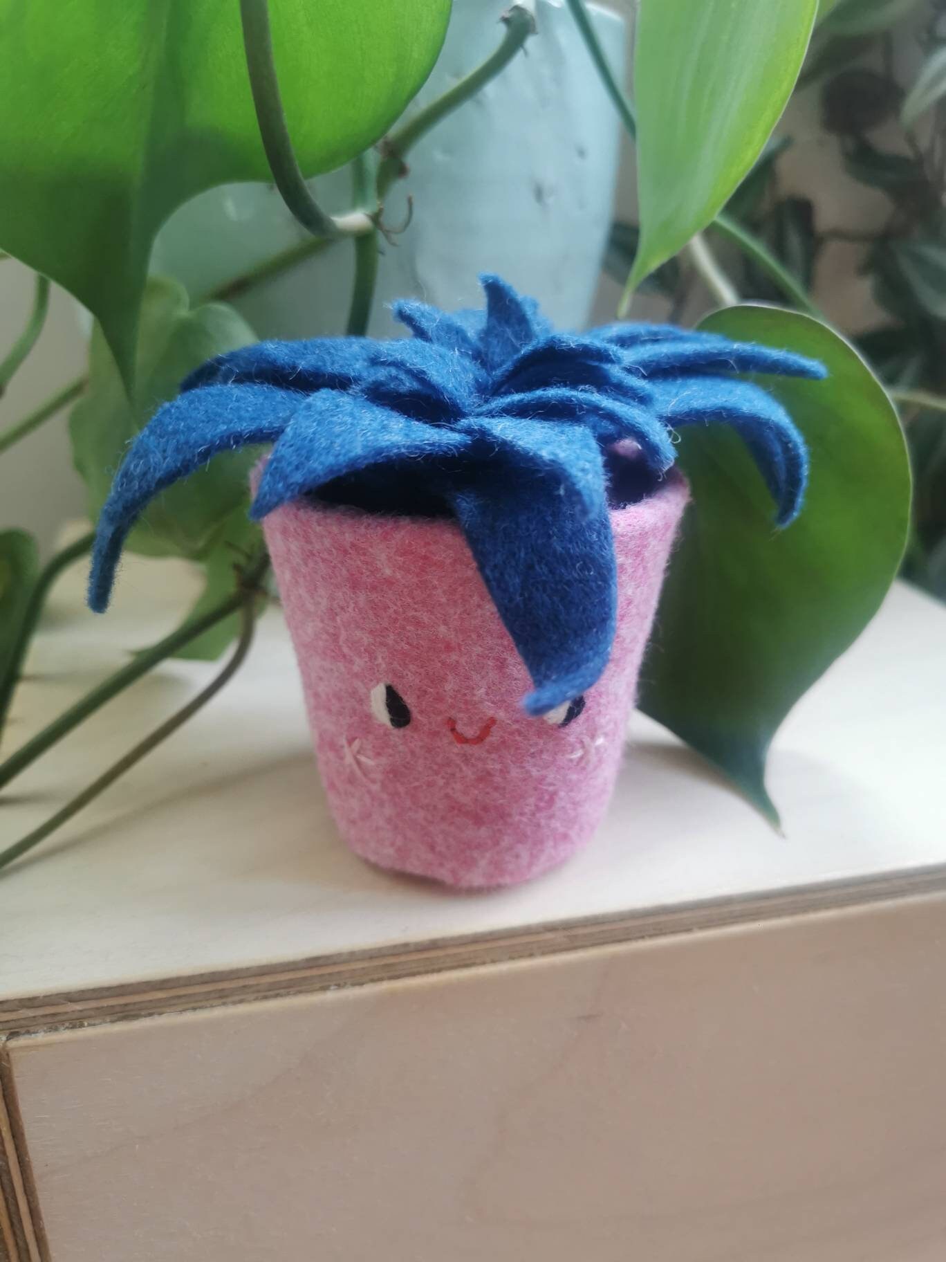 Mignon, Succulents en Feutre, Pot avec Un Visage. Cactus Effrontés et Souriants, Succulent Textile F