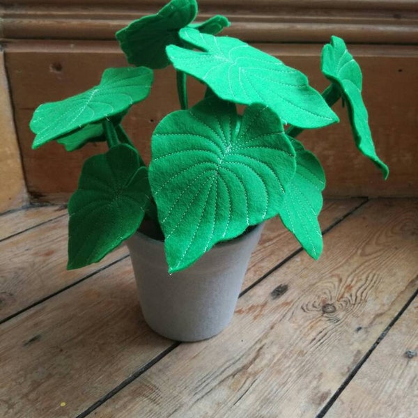 Felt House Plant Etsy