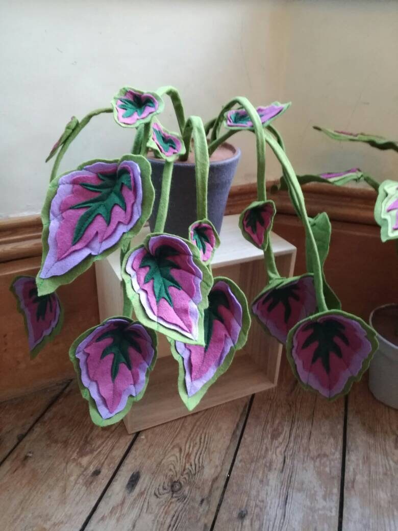 Begonia - Botanique, Fait à La Main, Inspiré de Begonia', Plante en Pot Feutre, d'intérieur Tissu, T