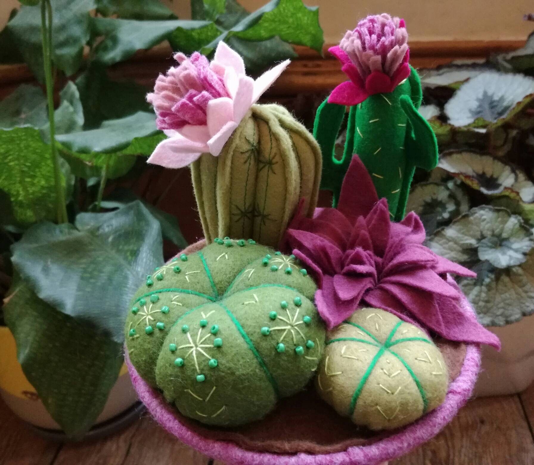 Nuances de Rose, Cactus en Feutre et Plateau Succulentes. Fait à La Main, Feutre, Cactus, Succulente