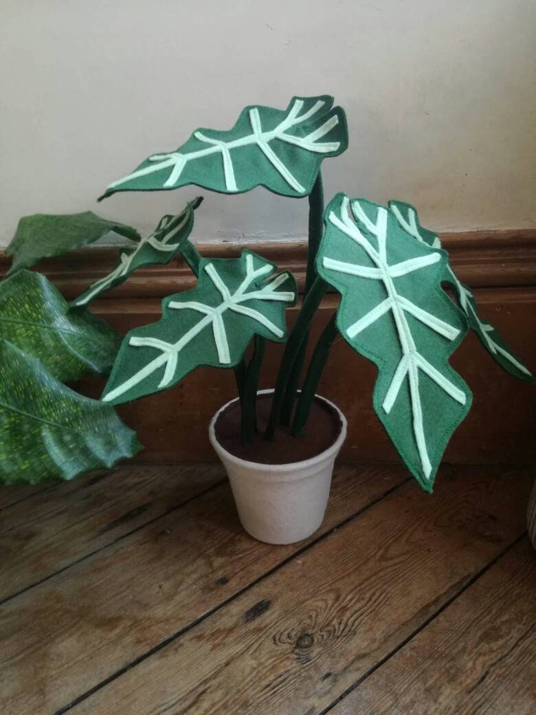 Plantes d'intérieur - Alocasia Polly Botanique, Fait Main, Feutre