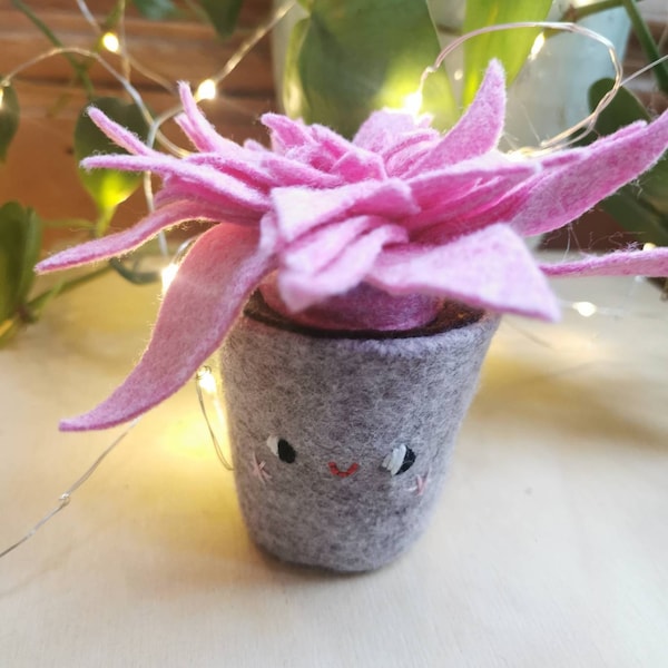 Pink felt succulent, pot with a face. Cute cacti, handmade textile succulent in a pot. Plants you can't kill!