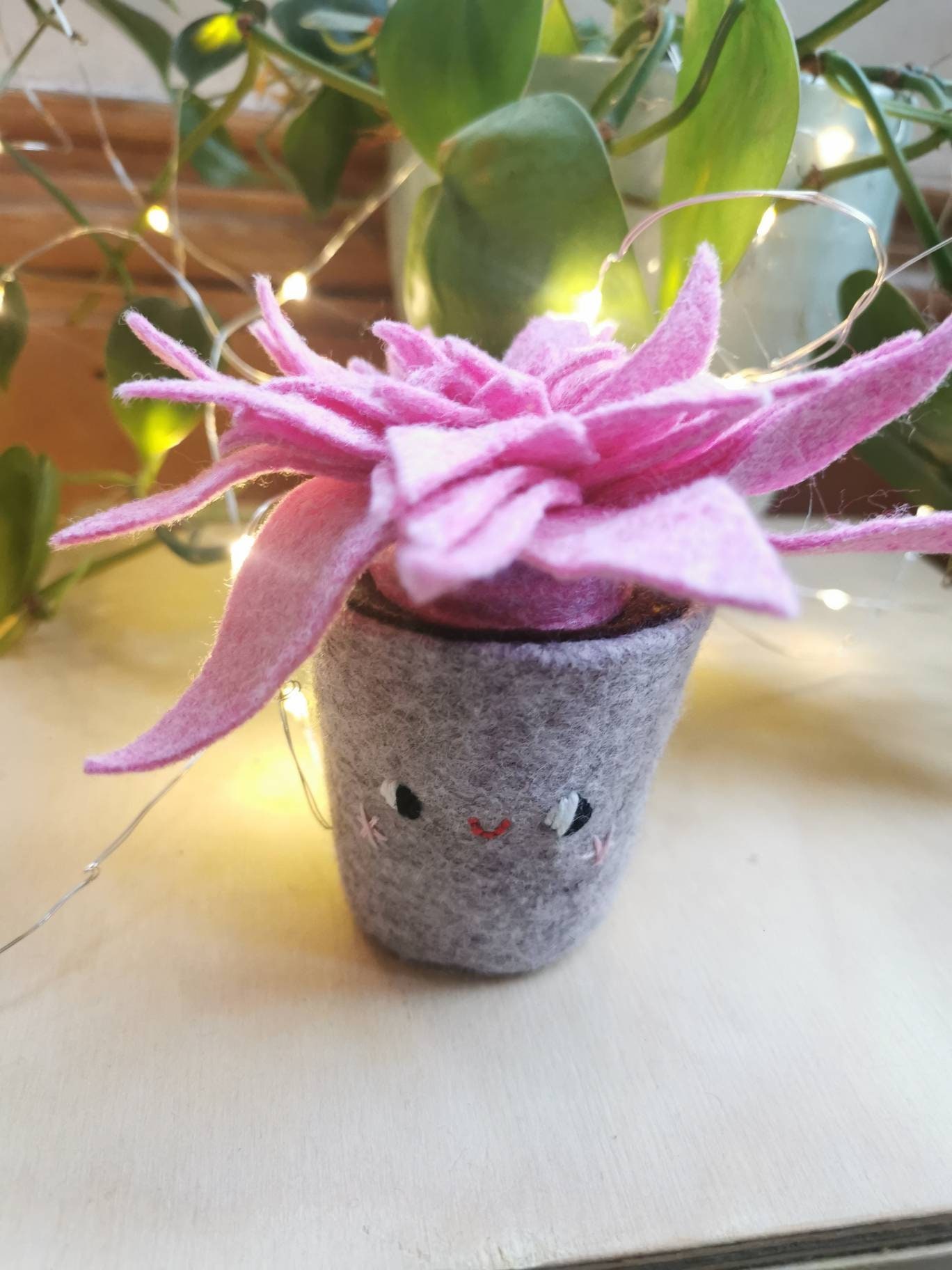 Feutre Rose Succulent, Pot avec Un Visage. Cactus Mignons, Succulent Textile Fait à La Main Dans Pot