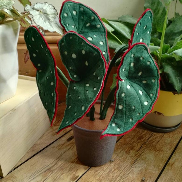 FauxTrout Begonia - Botanical, handmade, 'Begonia' inspired, felt potted houseplant, fabric houseplant, textile plant, choose the pot colour