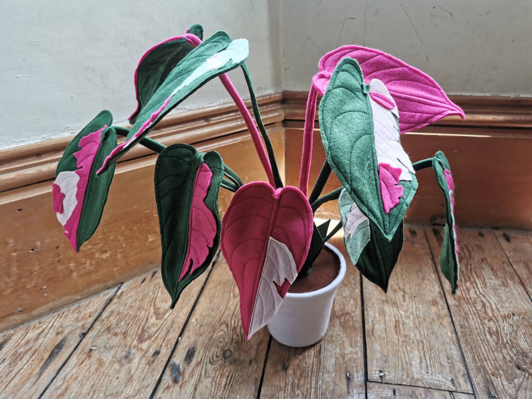 2. Princess Of Vines: Unveiling The Enchanting Philodendron Pink Princess
