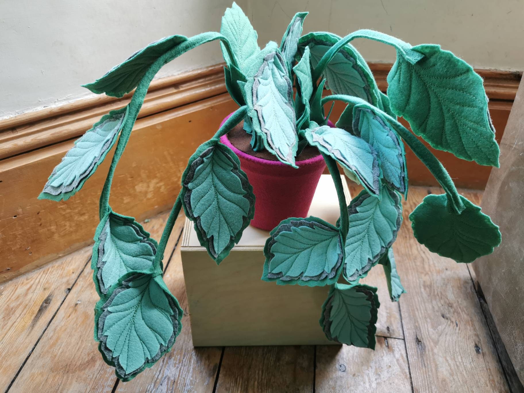 Traînant, Plante d'intérieur en Feutre. Faux, Inspiré de La Botanique, Pot Feutre, Tissu, Textile, C