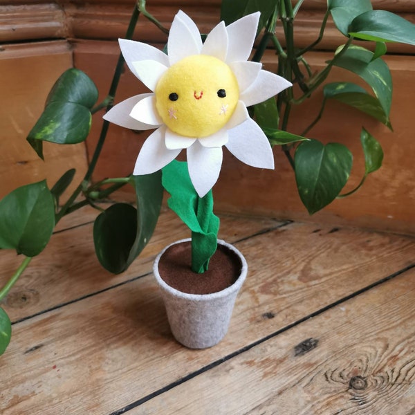 Cute felt daisy, kawaii style daisy, kawaii flower, daisy with smiley eyes. Plants you can't kill!