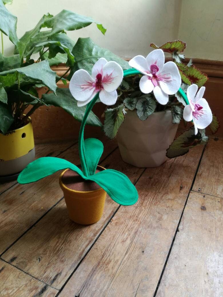 Orchidée, Orchidée Feutre, Plantes d'intérieur d'orchidées, Fausses Fleurs, en Tissu Faite à La Main