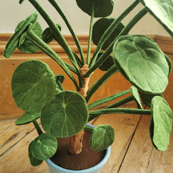 Pilea - Feutre, faux, fait main, inspiration botanique « Pilea », plante en pot en feutre, plante d'intérieur en tissu, plante textile, choisissez la couleur de votre pot