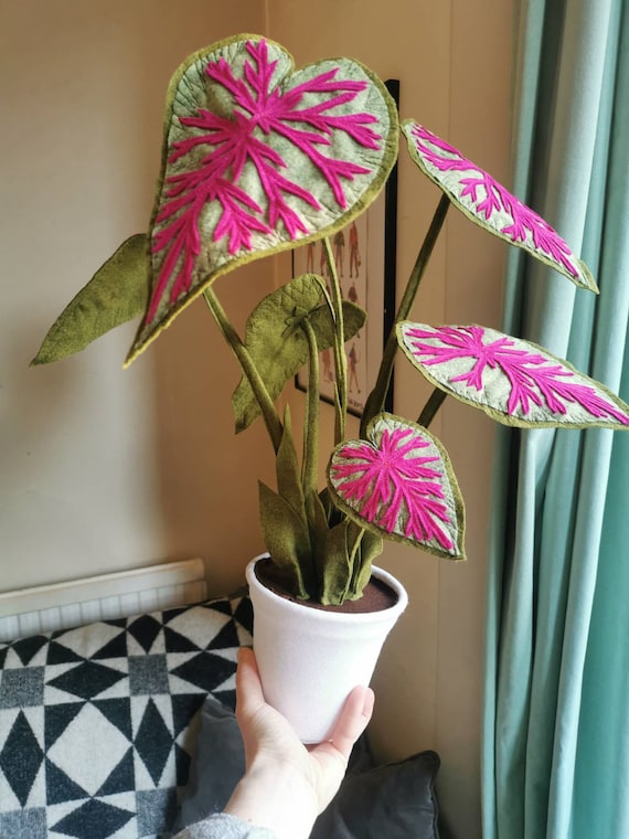 Caladium Faux Houseplant Botanical Inspired Felt Potted | Etsy UK