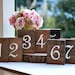 see more listings in the Table Numbers Place Card section