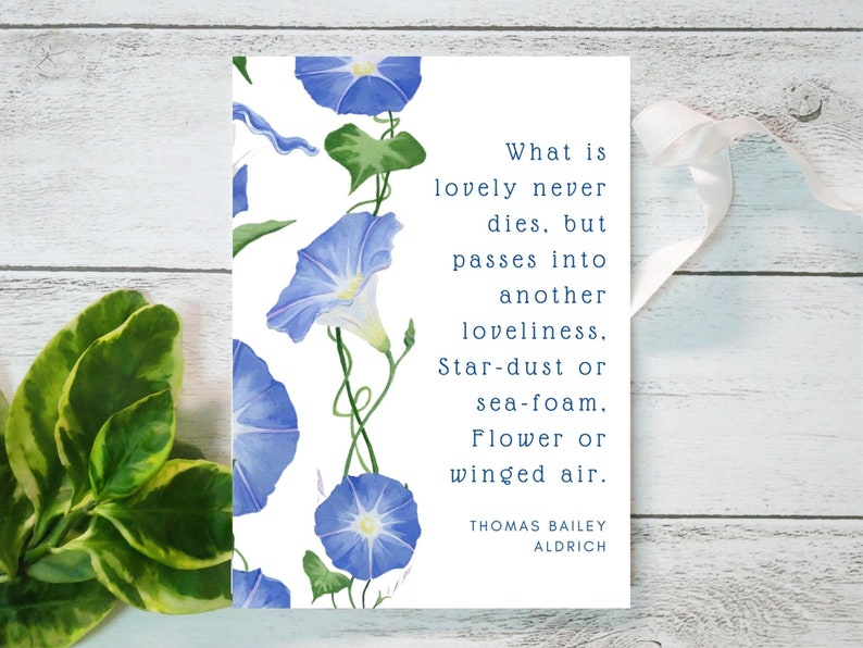 Sympathy, condolences card. Blue Morning Glories stationary, art and quote card, Botanical image 2