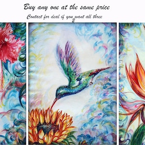 Unico, originale, contemporaneo, gioiello volante nella natura, pittura colibrì, bella scena, girasole, ibisco, uccello del paradiso, hummer