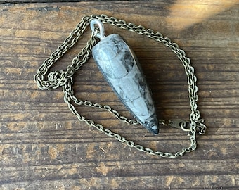 Fossil Pendant Necklace -  Handmade Jewelry - Ready to Ship - Gift for Her - Gifts for Him
