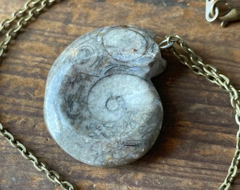 Fossil Pendant Necklace -  Handmade Jewelry - Ready to Ship - Gift for Her - Gifts for Him
