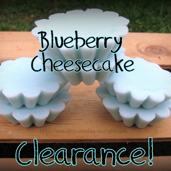 One Bag of 2 Blueberry Cheesecake Soy Melts Clearance On Sale