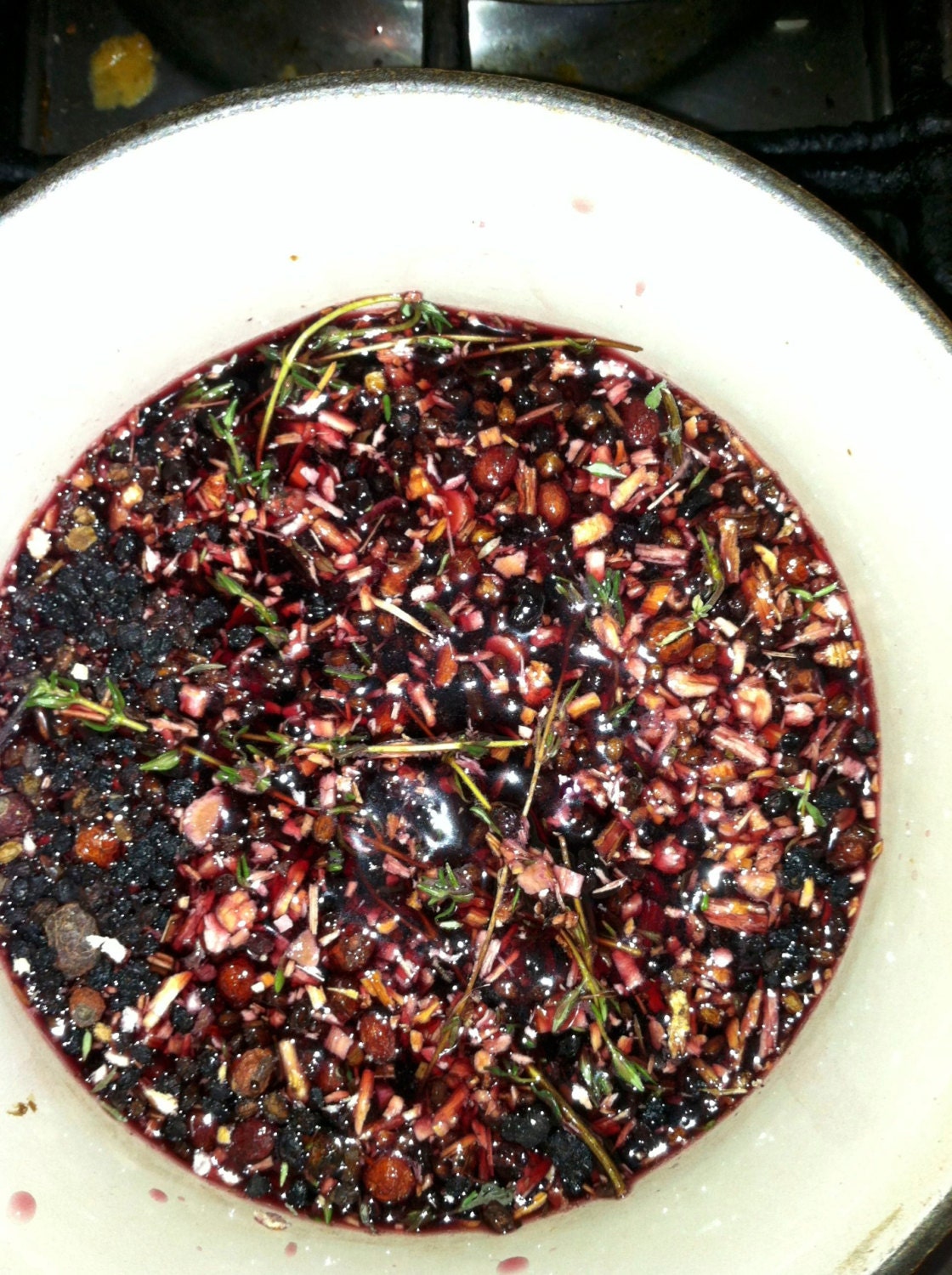 Immune Tonic ~ immune support to defend against pathogens.