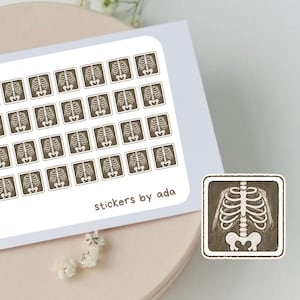 Op de afbeelding: Een rechthoekig stickervel met achtentwintig kleine, vierkante stickers, elk met een bruine en witte illustratie van een menselijke ribbenkast. De tekst "stickers by ada" staat in de rechterbenedenhoek op het witte vel gedrukt.