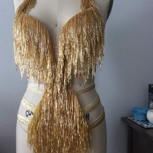 Beaded fringe shimmy costume