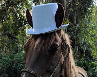 Top Hat for Horses in White, Black, Sky Blue, Royal Blue, Red, Caramel Brown - Equine Coachman Costume - Top Hat for Horse