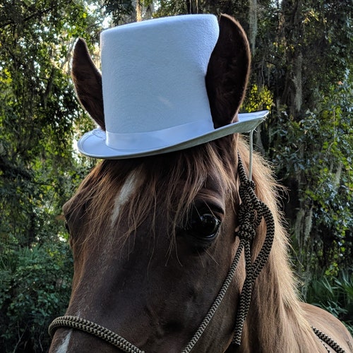 Top Hat for Horses in White Black Sky 