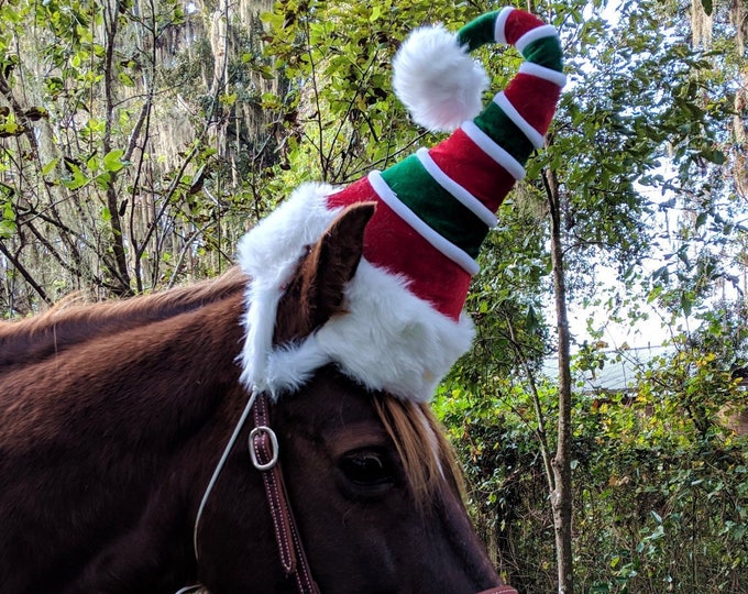 The Weird Elf Hat for Riding or Draft Horses Equine Elf Hat Fun