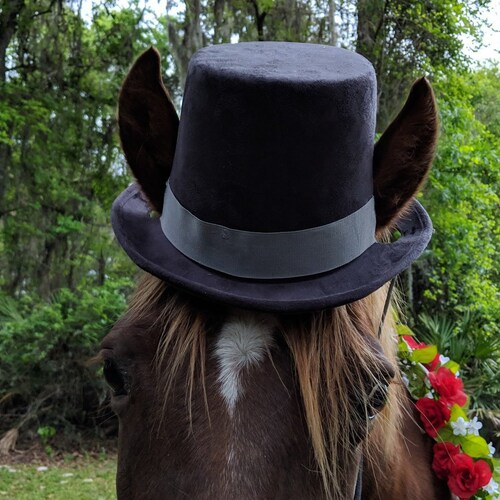 Dark Brown Top Hat for Horses Equine 