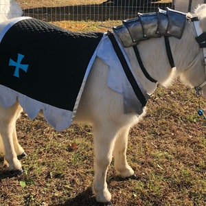 Destrier Horse Costume for Any Size Equine - Horse Blanket and Breast Collar - your choice of colors and symbols