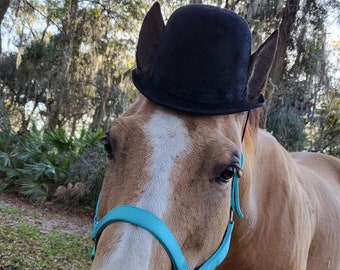 Black Derby Hat for Horses Equine Hat 